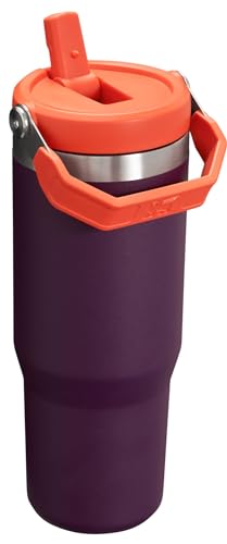 Stanley IceFlow Stainless Steel Tumbler - Vacuum Insulated Water Bottle for Home, Office or Car Reusable Cup with Straw Leak Resistant Flip Cold for 12 Hours or Iced for 2 Days, Black 2.0, 30oz
