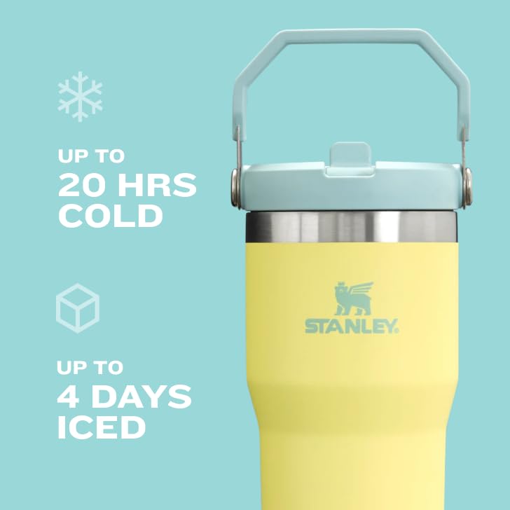 Stanley IceFlow Stainless Steel Tumbler - Vacuum Insulated Water Bottle for Home, Office or Car Reusable Cup with Straw Leak Resistant Flip Cold for 12 Hours or Iced for 2 Days, Black 2.0, 30oz
